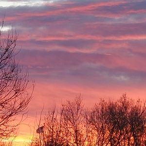 Meet your Posher, Tamara